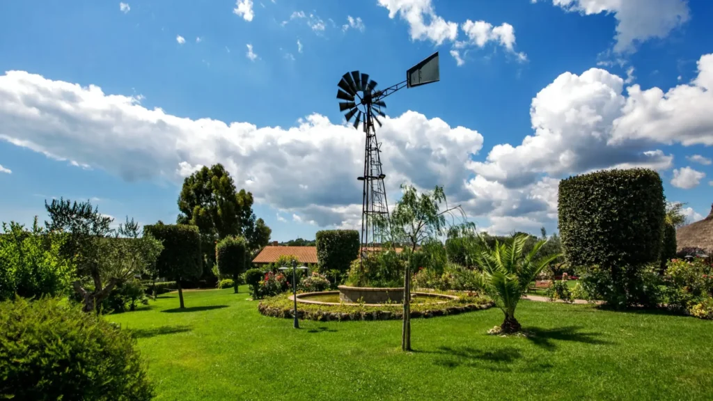Ristorante i 4 ricci cerveteri